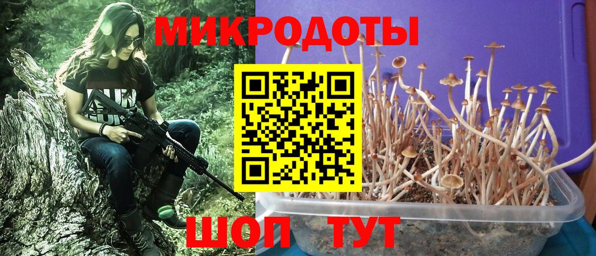 Псилоцибиновые грибы ЛСД Янаул